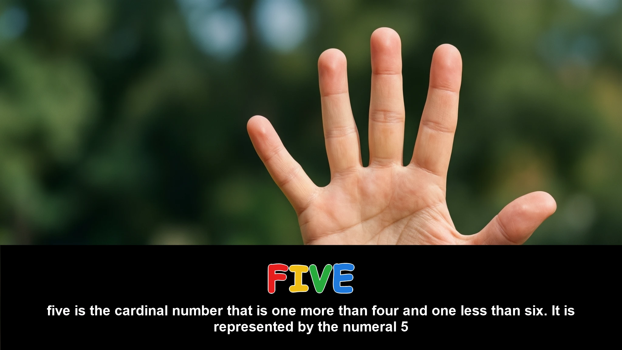 English Illustration for five